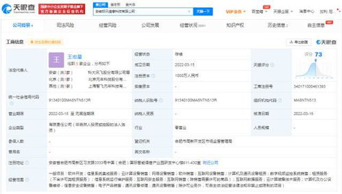 科大訊飛安徽再落兩子，千萬元級新公司聚焦AI基礎(chǔ)軟件研發(fā)